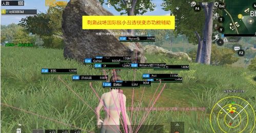 《吃鸡辅助XYZ：揭秘其关服背后的真相与影响》
