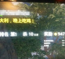 【绝地求生辅助卡盟】揭秘与使用攻略：揭秘黑幕，安全畅玩！