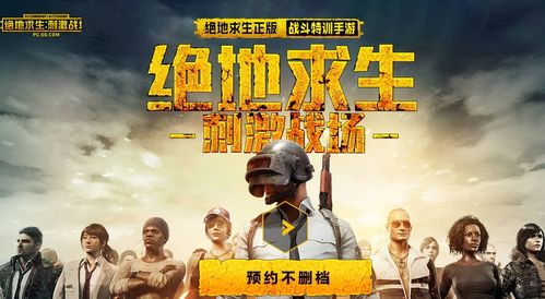 绝地求生辅助正版代理：揭秘游戏生态中的灰色地带