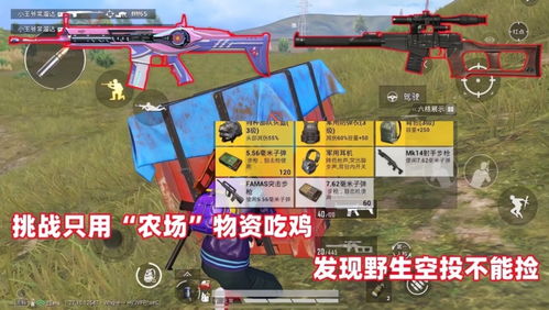 《揭秘“吃鸡辅助器”：游戏厅中的暗流涌动，你是否中招？》