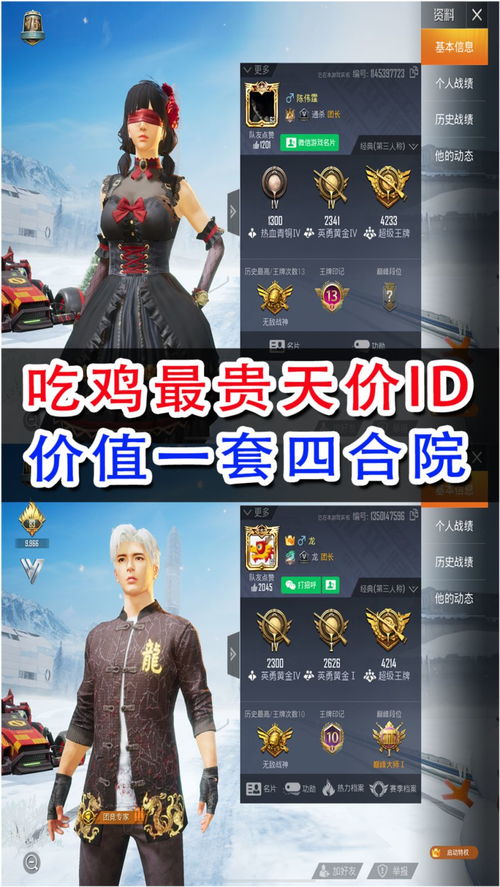 揭秘“吃鸡辅助ID”：网络游戏中的隐秘助手，你了解多少？