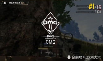 《绝地求生OMG辅助破解：揭秘游戏生态的暗流涌动》