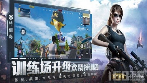 揭秘Pubg免费辅助：真相与风险并存，玩家如何安全“飞升”？