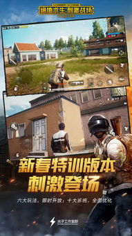 绝地求生辅助群：揭秘游戏生态中的灰色地带
