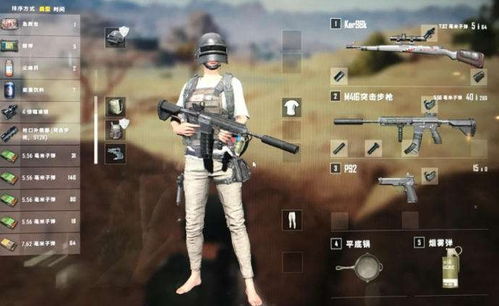 绝地求生辅助器：揭秘游戏生态中的灰色地带