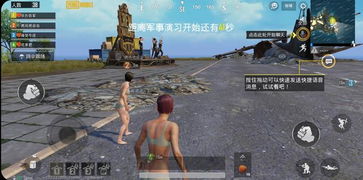 《和平精英PUBG辅助：揭秘作弊背后的真相与防范措施》