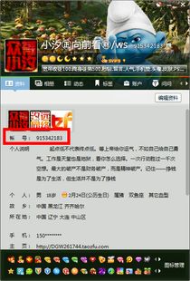 夕阳卡盟：揭秘互联网卡盟行业的转型之路