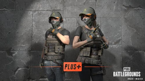 《Pubg辅助购买，你真的了解其中的风险吗？揭秘游戏生态中的灰色地带》
