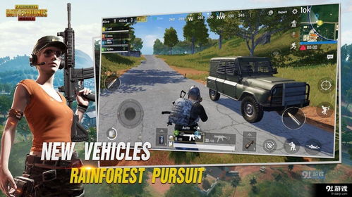 《揭秘PUBG国际服辅助：如何识别与应对，守护公平竞技环境？》