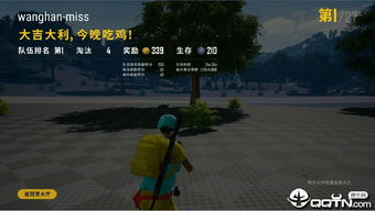 PUBG绝地求生多功能辅助：揭秘游戏作弊背后的真相与应对策略