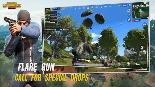《揭秘 PUBG 白鹤辅助：如何助力玩家轻松上分？》