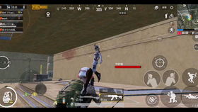 揭秘《PUBG》守护辅助：如何提升游戏体验，告别外挂困扰？