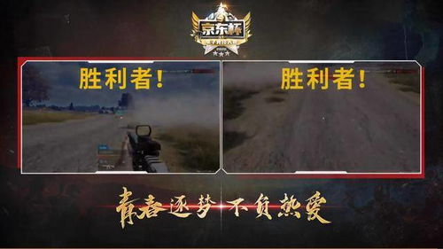 揭秘“天命圈”：如何应对Pubg中的辅助作弊现象？