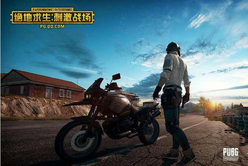 PuBg毒蛇辅助下载：揭秘高效游戏加速背后的秘密