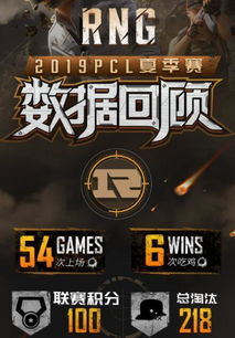 《绝地求生辅助 rng：揭秘游戏作弊背后的秘密与防范策略》