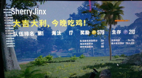 透视辅助工具在《绝地求生》（PUBG）中的购买指南：揭秘风险与收益
