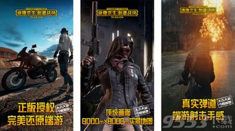 绝地求生辅助工具大盘点：揭秘哪款才是最佳选择？