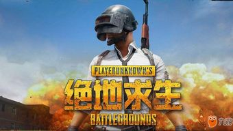 绝地求生RST辅助：揭秘游戏作弊背后的真相与防范之道