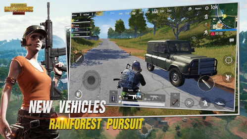 【警惕风险】免费直装辅助盛行，Pubg玩家如何守护游戏公平？