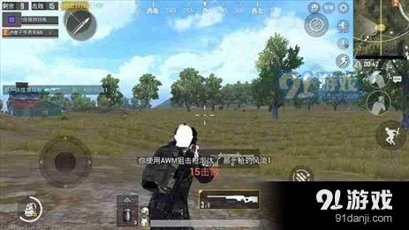 PP辅助吃鸡：揭秘提升游戏体验的神秘力量
