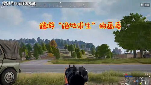 《吃鸡撞车辅助：揭秘游戏作弊背后的风险与应对策略》