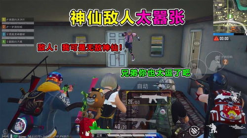 揭秘“仙人吃鸡”辅助：揭秘游戏辅助背后的秘密与风险