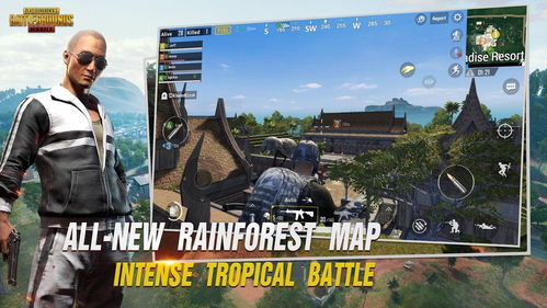 《Pubg国际服魔方辅助揭秘：如何正确看待与应对游戏生态中的“黑科技”》