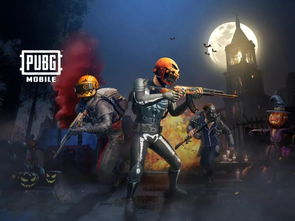《Pubg飞龙辅助无法进入？揭秘原因及解决方案》