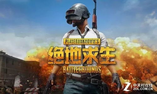 揭秘老先生卡盟绝地求生辅助：如何避免误入歧途，守护游戏公平？