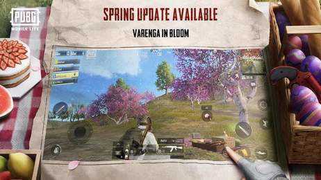 PUBG冰墩墩辅助下载攻略：揭秘高效获取方式的秘密