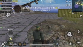 揭秘绝地求生辅助：如何识别与防范？（绝地求生辅助、作弊工具、游戏公平性、玩家体验、防作弊措施）