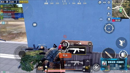 揭秘无双吃鸡辅助：如何平衡游戏体验与公平竞技？