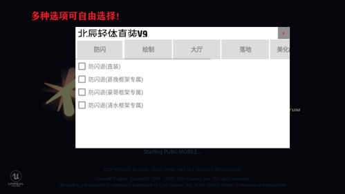 《Pubg轻体直装辅助：揭秘游戏加速的秘密武器，你了解多少？》