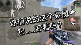 PUBG手游冰墩墩辅助：揭秘辅助工具背后的数据真相