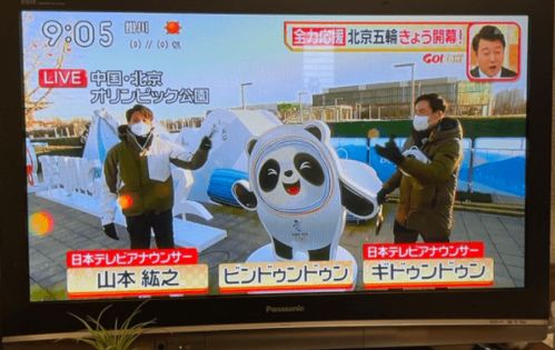 揭秘 PUBG 冰墩墩辅助卡密：如何提升游戏体验的“秘密武器”？