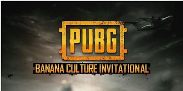 《PubG崛起背后的辅助力量：揭秘游戏生态新趋势》