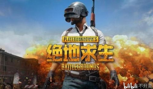 绝地求生辅助线揭秘：揭秘游戏中的神秘力量，如何提升你的生存技能？