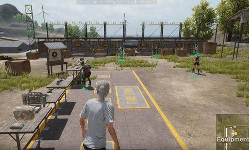 揭秘PubG Dy辅助：游戏平衡的守护者还是作弊者的帮凶？