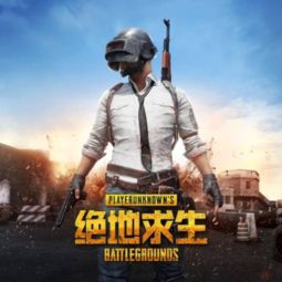 揭秘“木木吃鸡辅助”：揭秘游戏外挂背后的真相与应对策略