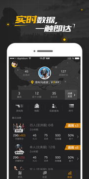 PUBG显示辅助：提升游戏体验的秘密武器？