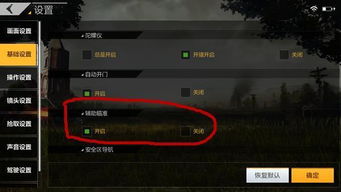 揭秘绝地求生辅助官网：如何规避风险，享受公平竞技？