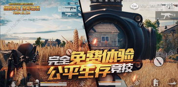 绝地求生开心卡盟：揭秘游戏辅助产业的“暗流涌动”
