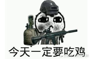 《吃鸡炸房辅助：揭秘游戏中的“隐形利器”，如何巧用数据化战术提升胜率？》