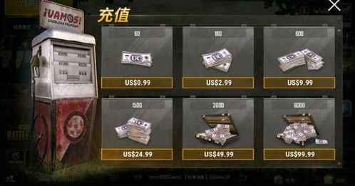 绝地求生辅助市场揭秘：价格几何？风险几何？
