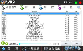 揭秘《绝地求生》（PUBG）辅助声音：如何提升你的游戏体验？