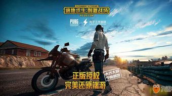 揭秘绝地求生辅助官网“买LV”现象：玩家权益与监管的较量