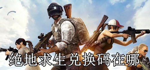 绝地求生辅助官网揭秘：揭秘绝地求生外挂网站，如何安全选择？