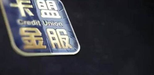卡盟金服：金融科技领域的革新者，未来金融服务如何转型？