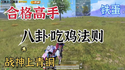 揭秘“八卦吃鸡辅助”：如何在这场“绝地求生”中稳操胜券？