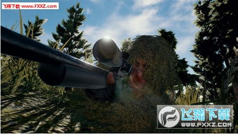 PUBG辅助工具：揭秘游戏公平性的灰色地带